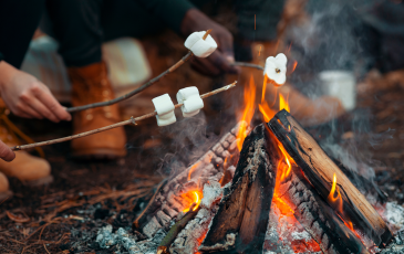A picture of some hands holding marshmallows on sticks over a hot, smoldering camp fire