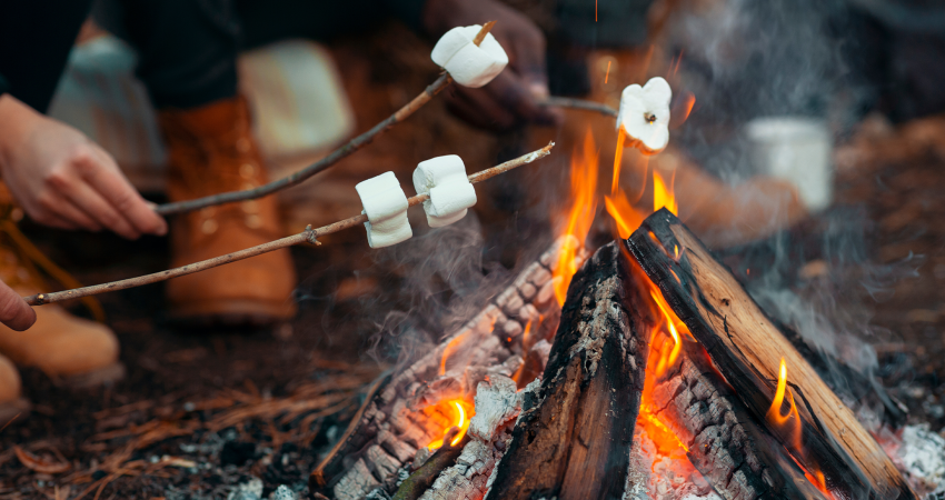 A picture of some hands holding marshmallows on sticks over a hot, smoldering camp fire