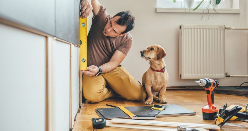 Man doing renovation work at home together with his small yellow dog