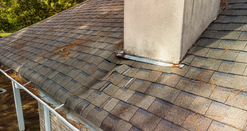 SPRING ROOF MAINTENANCE