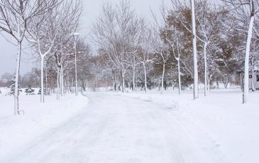park road covered in heavy snow during heavy winter